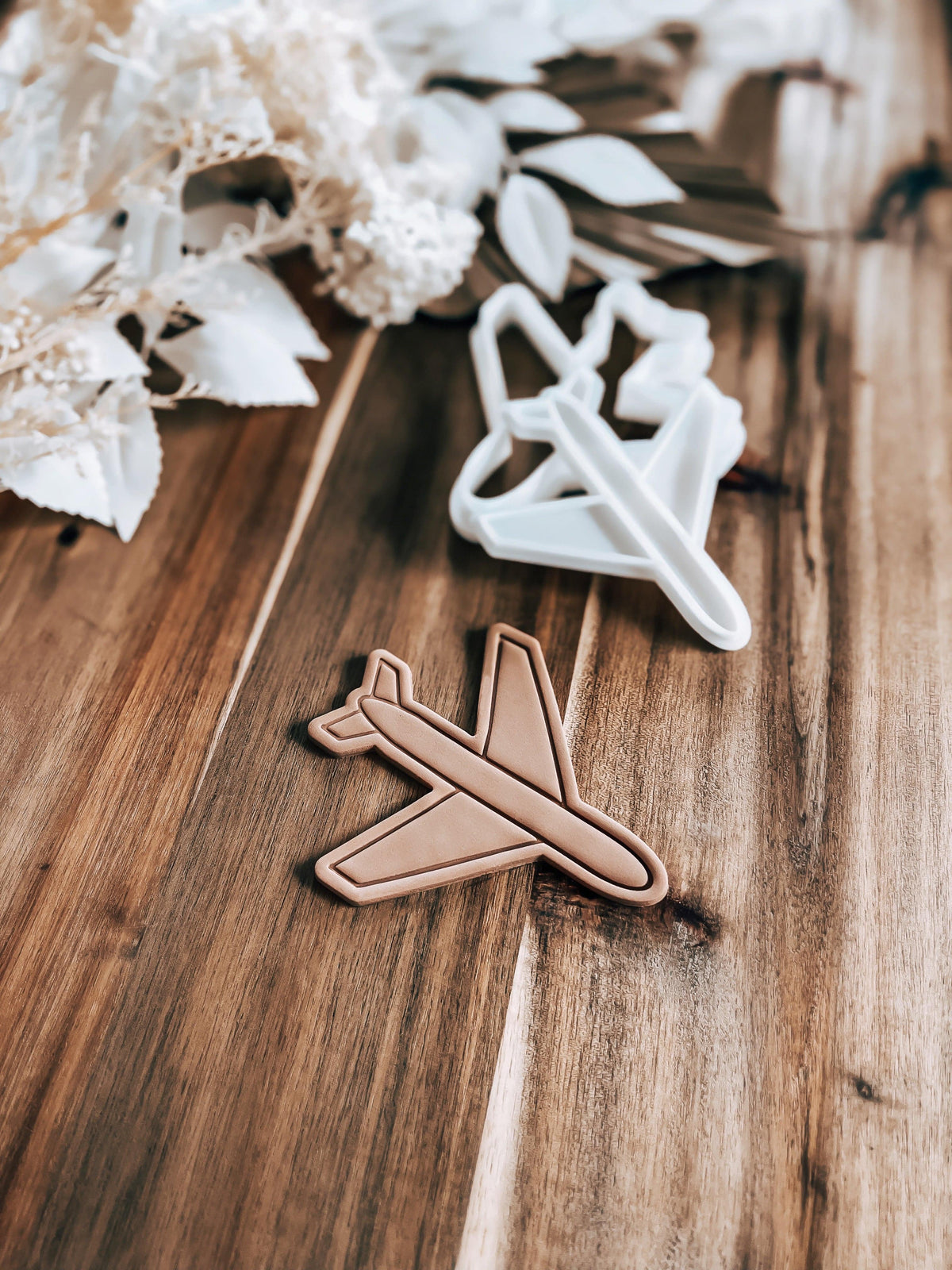Airplane - Cookie Stamp and Cutter - Ideal for Fondant & Sugar Cookies