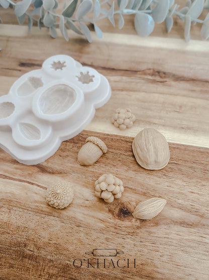 Nuts Silicone Mould - O'Khach Baking Supplies